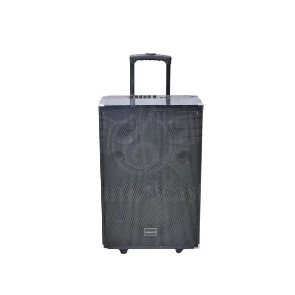 Tagwood Trolley 12A Multimedia Speaker - Wireless, Portable